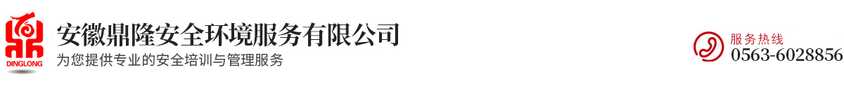 安徽鼎隆安全环境服务有限公司