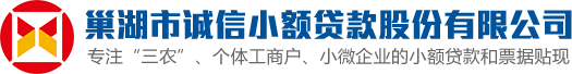 巢湖市诚信小额贷款股份有限公司